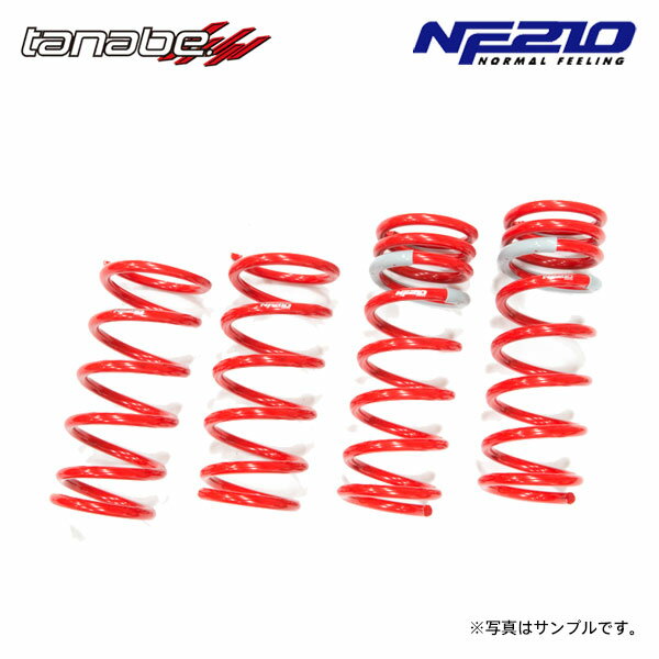 tanabe タナベ サステック NF210 ダウンサス 1台分 レクサス IS250 GSE20 H17.9～H25.8 4GR-FSE NA FR バージョンL