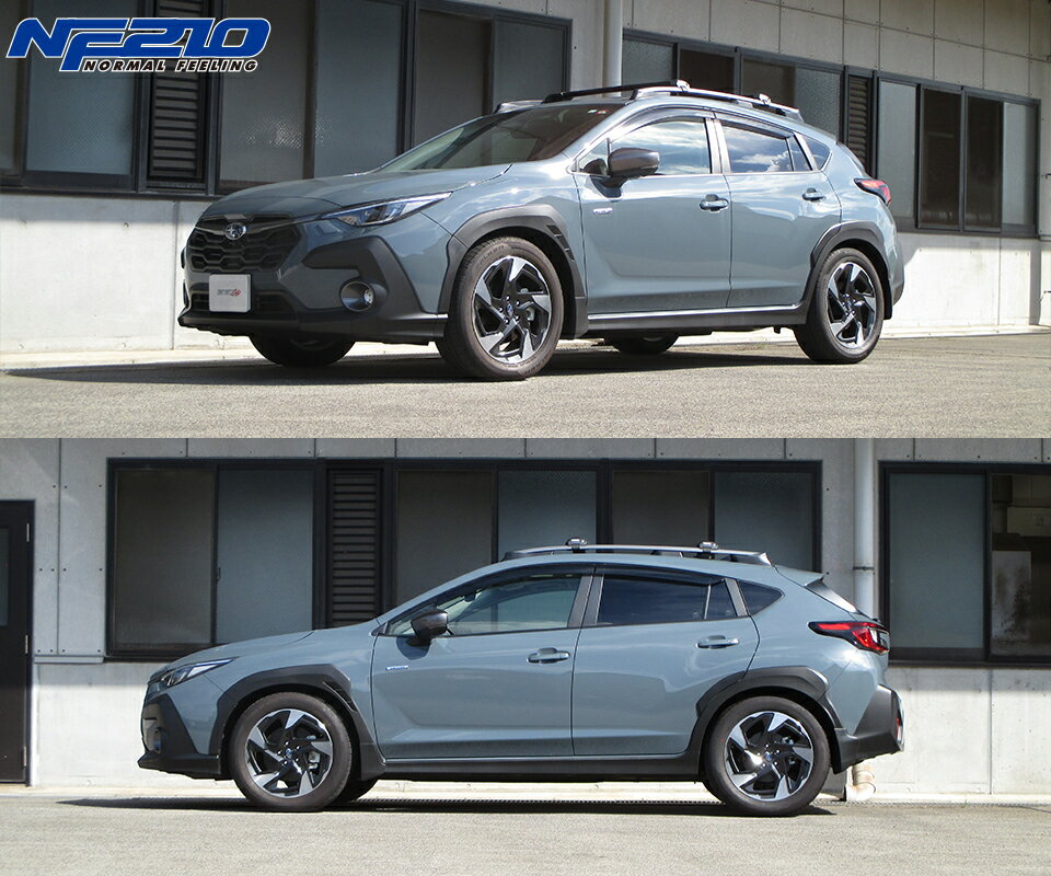 tanabe ���ʥ� �����ƥå� NF210 �����󥵥� �ꥢ�Τ� �������ȥ�å� GUE R4.9�� FB20 NA 4WD