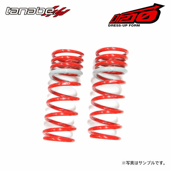 tanabe タナベ サステック DF210 ダウンサス フロントのみ レクサス GS350 GRS191 H17.8～H24.1 2GR-FSE NA FR