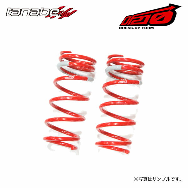 tanabe タナベ サステック DF210 ダウンサス リアのみ レクサス GS430 UZS190 H17.8～H19.10 3UZ-FE NA FR