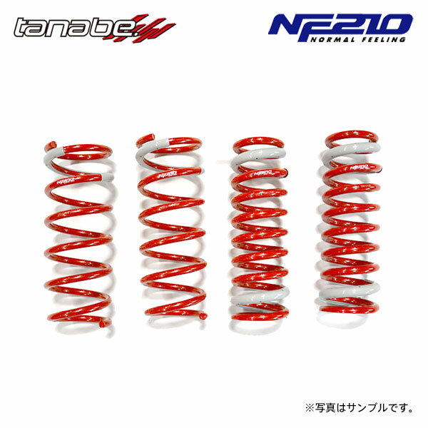 tanabe タナベ サステック NF210 ダウンサス 1台分 レクサス GS250 GRL11 H24.1～H28.9 4GR-FSE NA FR Iパッケージ