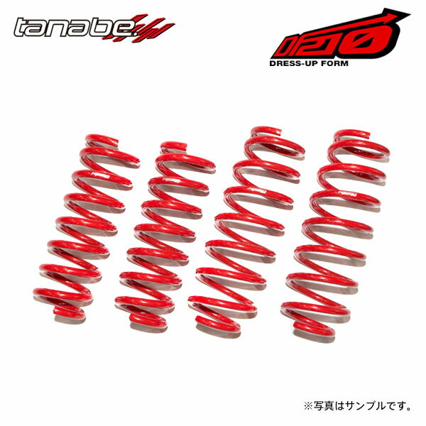 tanabe タナベ サステック DF210 ダウンサス 1台分 フーガ KY51 H21.11～H27.2 VQ37VHR NA FR