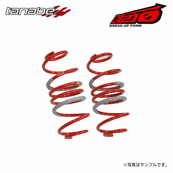 tanabe タナベ サステック DF210 ダウンサス リアのみ プリウス ZVW30 H21.5～H23.12 2ZR-FXE NA FF ツーリング