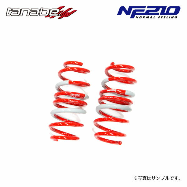 tanabe タナベ サステック NF210 ダウンサス リアのみ レクサス CT200h ZWA10 H23.1～H25.12 2ZR-FXE NA FF