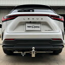タイトジャパン ヒッチメンバー スチールタイプ レクサス NX350h 6AA-AAZH20