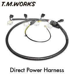 T.M.WORKS ダイレクト・パワーハーネスキット ヴェルファイア AGH30W 2AR-FE 2011/03〜