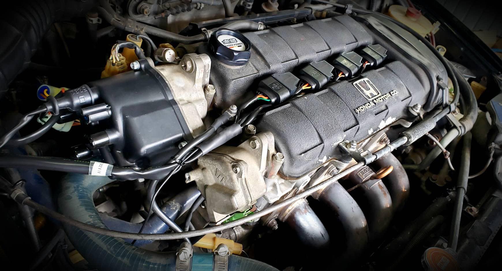 T.M.WORKS �ϥ��ѥե����ޥ󥹥����� �����쥯�ȥ��å� ���ӥå� EF3 ZC H1.3��H3.8