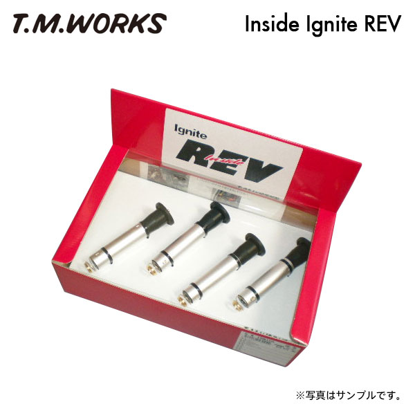 T.M.WORKS インサイドイグナイトレブ エクストレイル PNT30 H16.12〜 SR20VET