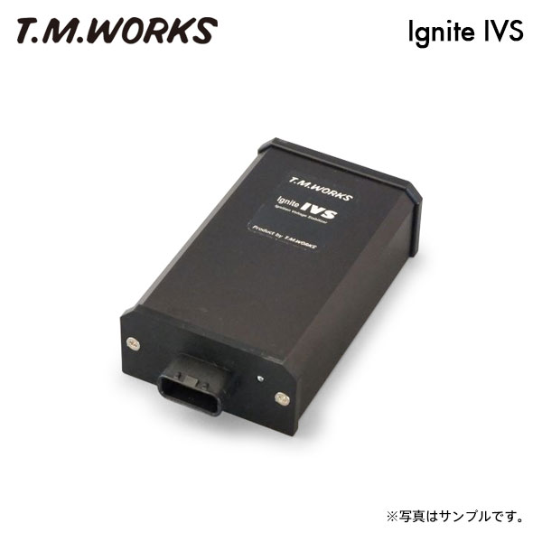 T.M.WORKS イグナイトIVS エアウェイブ GJ1 GJ2 L15A H17.4〜H22.8 V-TEC