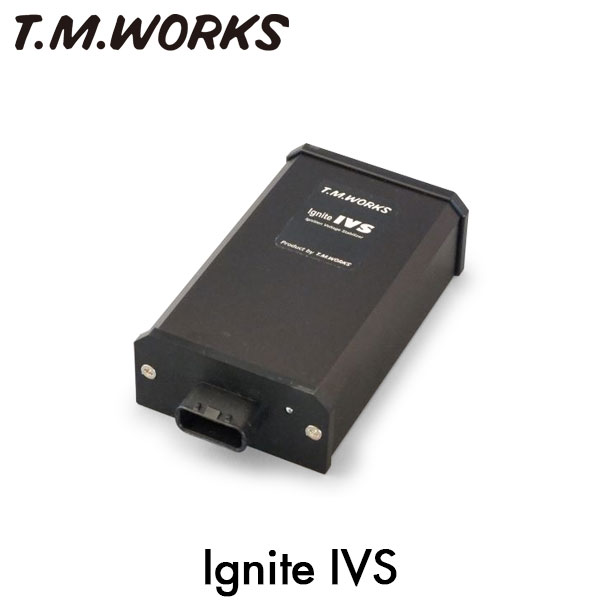 T.M.WORKS イグナイトIVS ADバン VFY11 QG15DE 1999/05〜