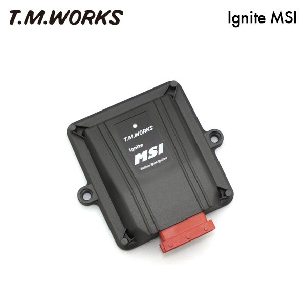 T.M.WORKS イグナイトMSI アクセラスポーツ BLEAW BLEFW LF-VE/LF-VDS H21.6〜