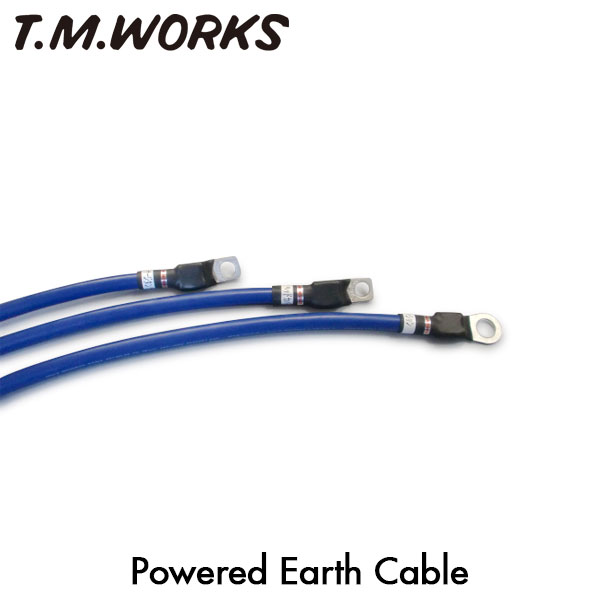 T.M.WORKS パワードアースケーブル ホライゾン UBS25GWH 6VD1