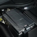 フォルクスワーゲン ゴルフ8GTI/R カーボン・バッテリーカバーキット【ECS Tuning】