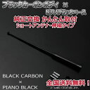 本物カーボン ショートアンテナ メルセデスベンツ Aクラス A200 (W169) 169033 ブ ...