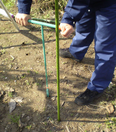 ������̵�������󤿤󡡷귡��20mm���������񡡥����ǥ˥����ʡ��귡�굡 ���귡�� �ꤢ������