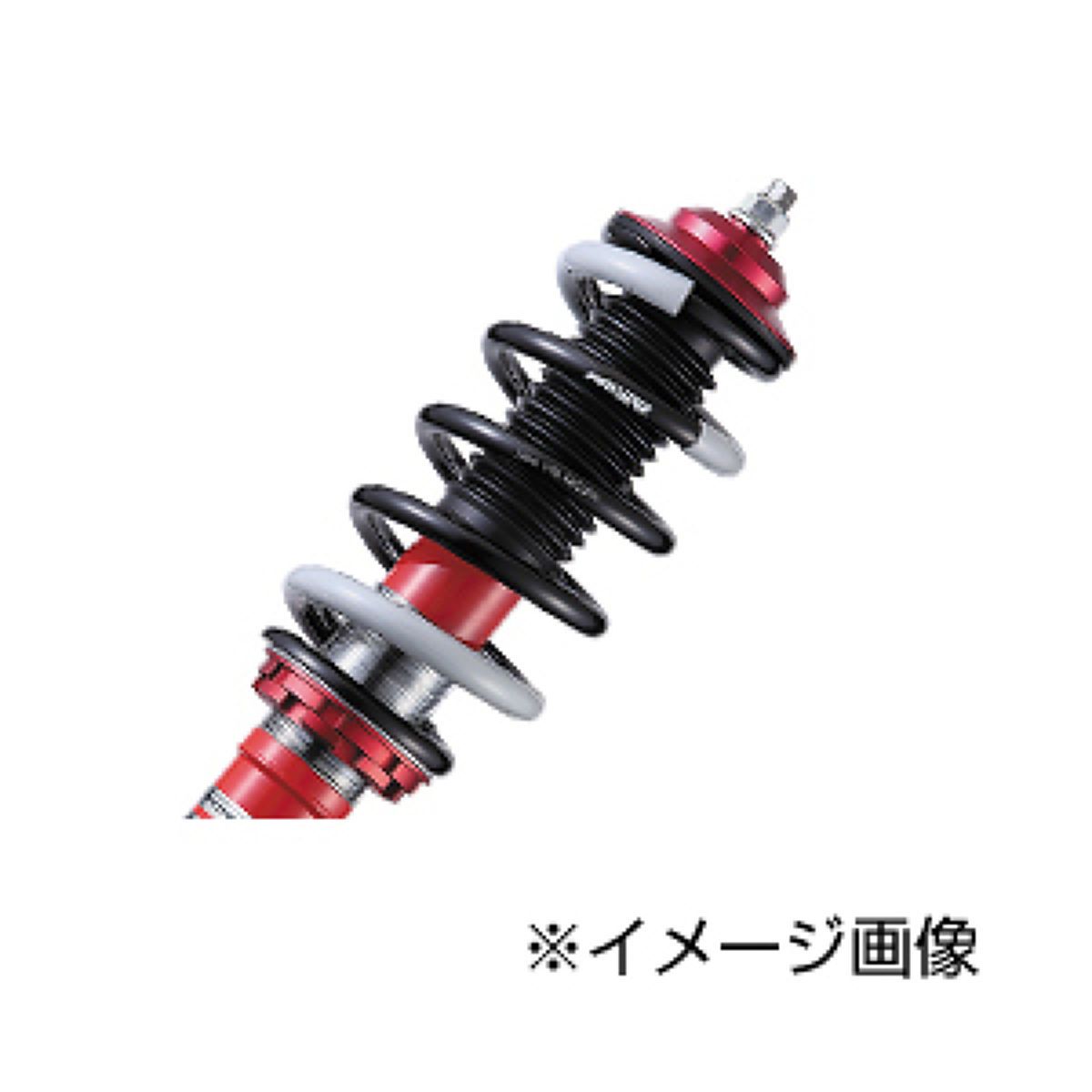 tanabe タナベ サステックプロ CR 1台分 CRPV36K ニッサン スカイライン