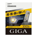 【在庫有 特価】CARMATE カーメイト GIGA LEDフォグランプF2800 BW5122 3000K H8／11／16