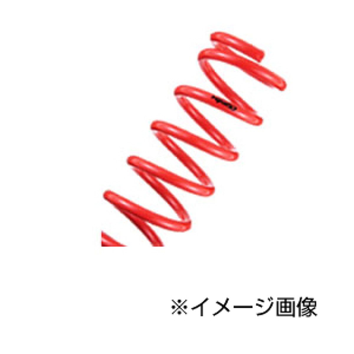 tanabe タナベ サステック サスペンション NF210 1台分 ANF10NK レクサス HS250h