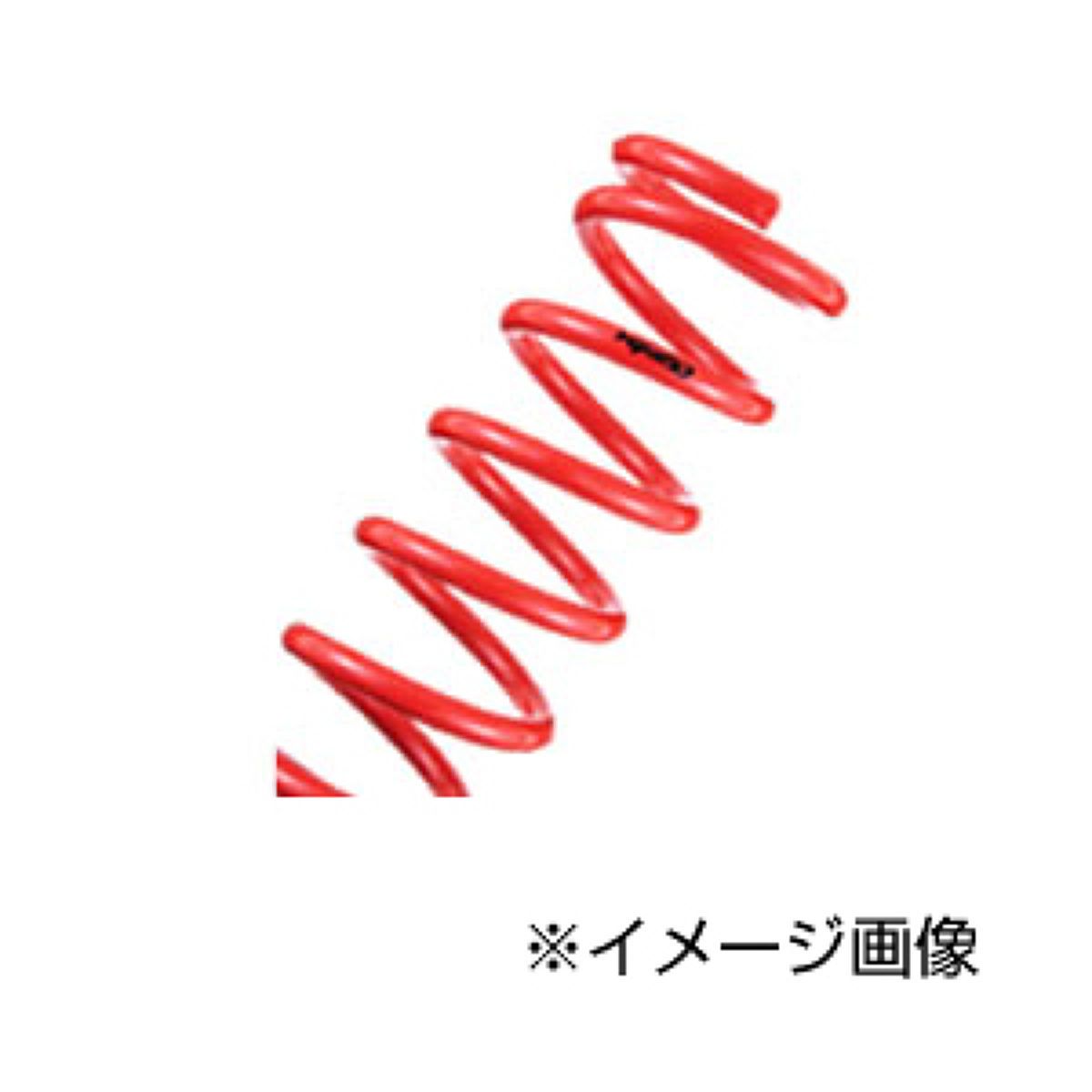 tanabe タナベ サステック サスペンション NF210 1台分 GRL11NK レクサス GS250