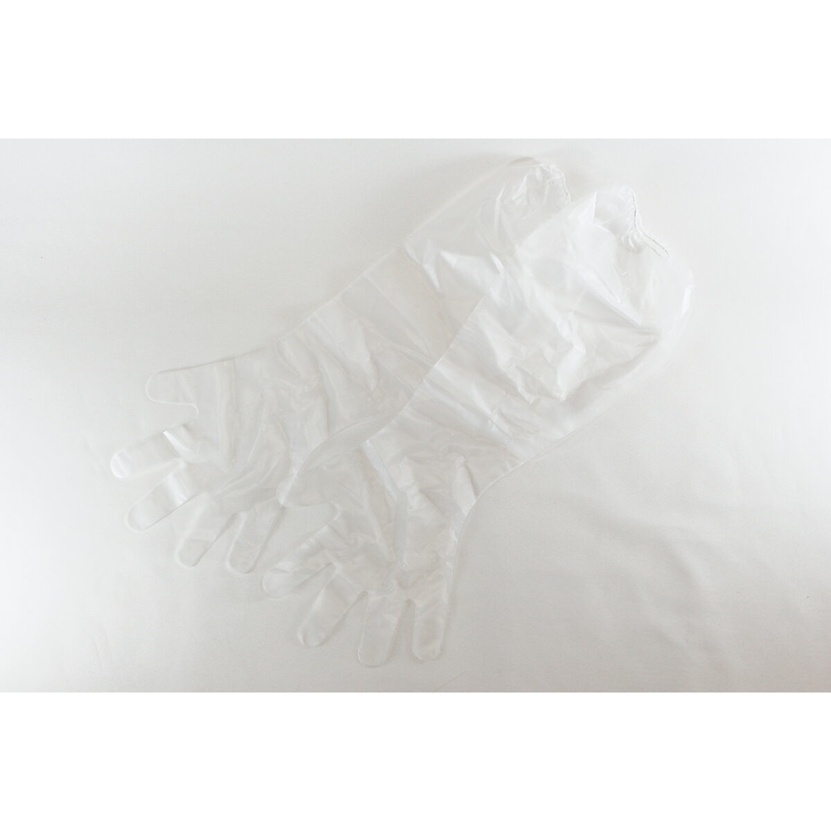 AQ. ɪ�ޤǥӥˡ������ 2����