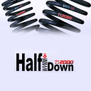 【8/1(金) 00:00~最大2000円OFFクーポン】RSR Ti2000 HALF DOWN トヨタ アクア NHP10/1台分/T105THD
