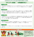 autocenter:10005294のサンプル画像3