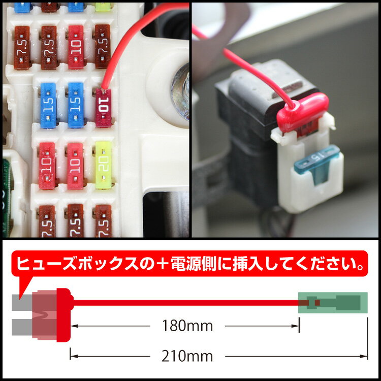 1000円ポッキリ 送料無料 ヒューズ 電源取り出し 車 10A 15A 20A 選べる2本 平型 ノーマル ヒューズボックス ヒューズホルダー 配線隠し 整備 アソート まとめ買い DIY カスタム 業務用 カー用品 ゆうパケ 39ショップ配線ホルダー 2