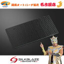 SilkBlaze SPORTSカーボンライセンスプレート フロント用