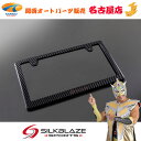 SilkBlaze SPORTSカーボンライセンスフレーム