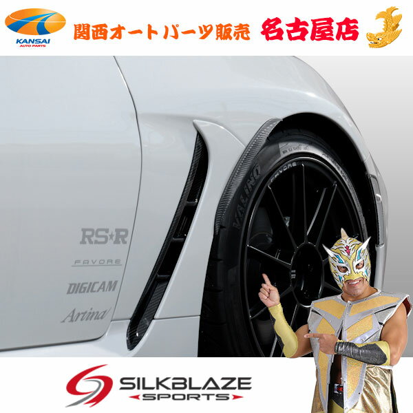 SilkBlaze SPORTS シルクブレイズ スポーツフェンダーエクステンションカーボン/ブラック