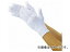 ȥ饹滳/TRUSCO ںѤ٤ߤ  5 ե꡼ DPM39LE(2172844) JAN4989999361360 Slip off gloves for light work Light twin sets free size