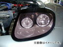 RE雨宮 スリークライトキット H11 TYPE D0-022830-055 マツダ RX-7 FD3S Sleek light kit