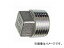 ɿ/SANEI ƥ쥹ץ饰 TS760-10 JAN4973987775031 Stainless steel plug