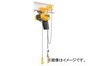 キトー 電気チェーンブロックEQ ギヤードトロリ結合式 2速インバータ 125kg×4m EQSG001IS Electric chain block geared trolley combination type(4)