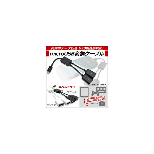 AP microUSB変換ケーブル 2股タイプ USB