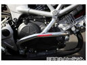 ゴールドメダル スラッシュガード バフ仕上げ サブフレーム付き SGH14-1 ホンダ VTR250 JBK-MC33 2輪 Slash guard