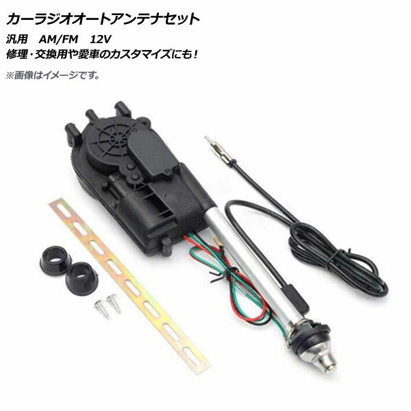 AP カーラジオオートアンテナセット 汎用 12V FM/AM AP-EC312 Car Radio Heavy Antenna Set