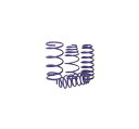 Jo Lowfer Sports LEHES RCXvO LHS-BM5FS F1䕪 }c_ ANZ BM5FS 15C,15S 2013N11` coil spring