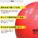 D＆M/ディーアンドエム セラバンド エクササイズボール レッド 55cm SDS55 theraband exercise ball 2