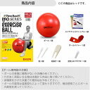 D＆M/ディーアンドエム セラバンド エクササイズボール レッド 55cm SDS55 theraband exercise ball 3