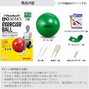 D＆M/ディーアンドエム セラバンド エクササイズボール グリーン 65cm SDS65 theraband exercise ball 3