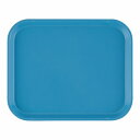 CAMBRO(キャンブロ) カムトレー ロビンエッグブルー FRP 810(EKM0122) tray