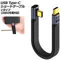 USB Type-Cショートケーブル Cタイプ 240W オス-オス USB4充電対応 AP-UJ1047-C short cable(2)