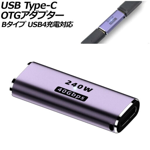 USB Type-C OTGアダプター Bタイプ 240W メス-メス I字 USB4充電対応 LEDライト付き AP-UJ1048-B adapter USB Type-C OTGアダプター Bタイプ 240W メス-メス I字 USB4充電対応 LEDライト付き AP-UJ1048-B adapter