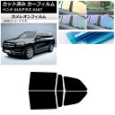 カーフィルム メルセデス・ベンツ GLSクラス X167 2020年〜 リアドアセット カメレオン 選べる3フィルムカラー AP-WFCM0230-RD Car...