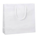 シモジマ(Shimojima) ブライトバッグ GM 白 006137901(01803) Bright Bag