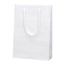 シモジマ(Shimojima) ブライトバック SWT 白 006138201(01802) Brightback