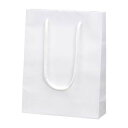 シモジマ(Shimojima) ブライトバッグ MM 白 006138301(01801) Bright bag