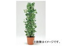 ユニット/UNIT 造花グリーン（ツリー） ポトス 品番：935-69 Artificial flower green tree Potos