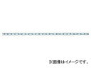 ニッサチェイン/NISSA CHAIN リンクCタイプ 鉄 ユニクロ 30m IL212 JAN:4968462059317 Link type(4)